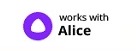S DEAL.EU Alice Smart Assistant 1